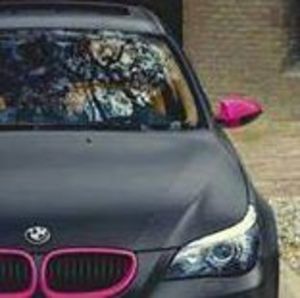 Meet your Posher, Chauna